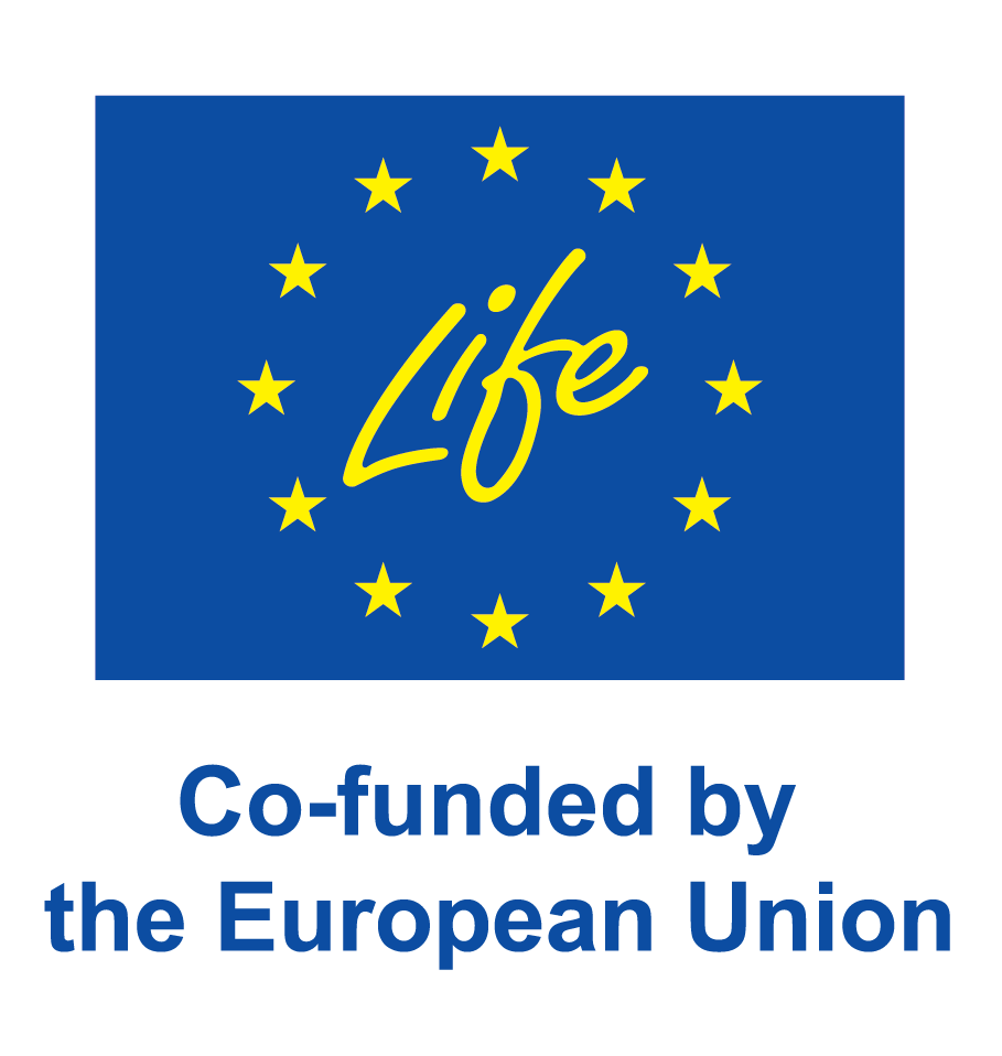 EN-V-Co-funded-by-the-EU_POS