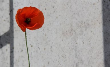 Audits bij BTE-bedrijf De Hamer